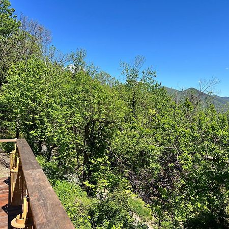 Les Magnels Bed & Breakfast Valleraugue Dış mekan fotoğraf