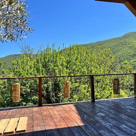 Les Magnels Bed & Breakfast Valleraugue Dış mekan fotoğraf