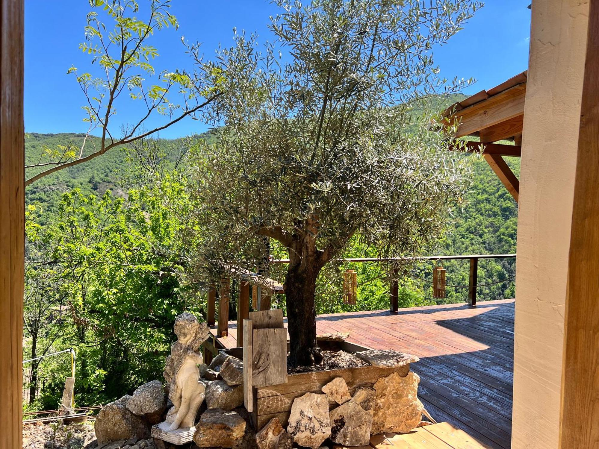 Les Magnels Bed & Breakfast Valleraugue Dış mekan fotoğraf