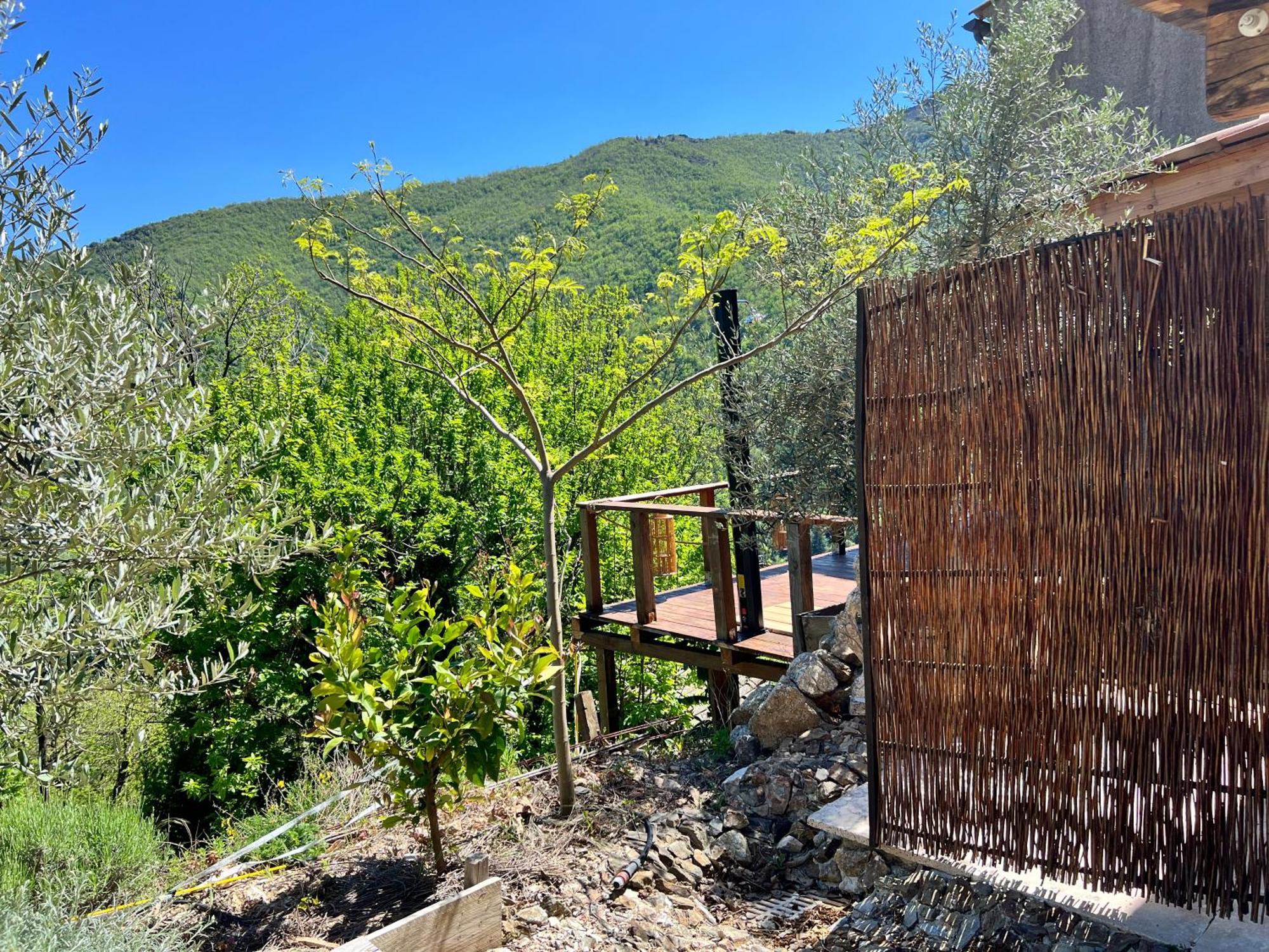 Les Magnels Bed & Breakfast Valleraugue Oda fotoğraf