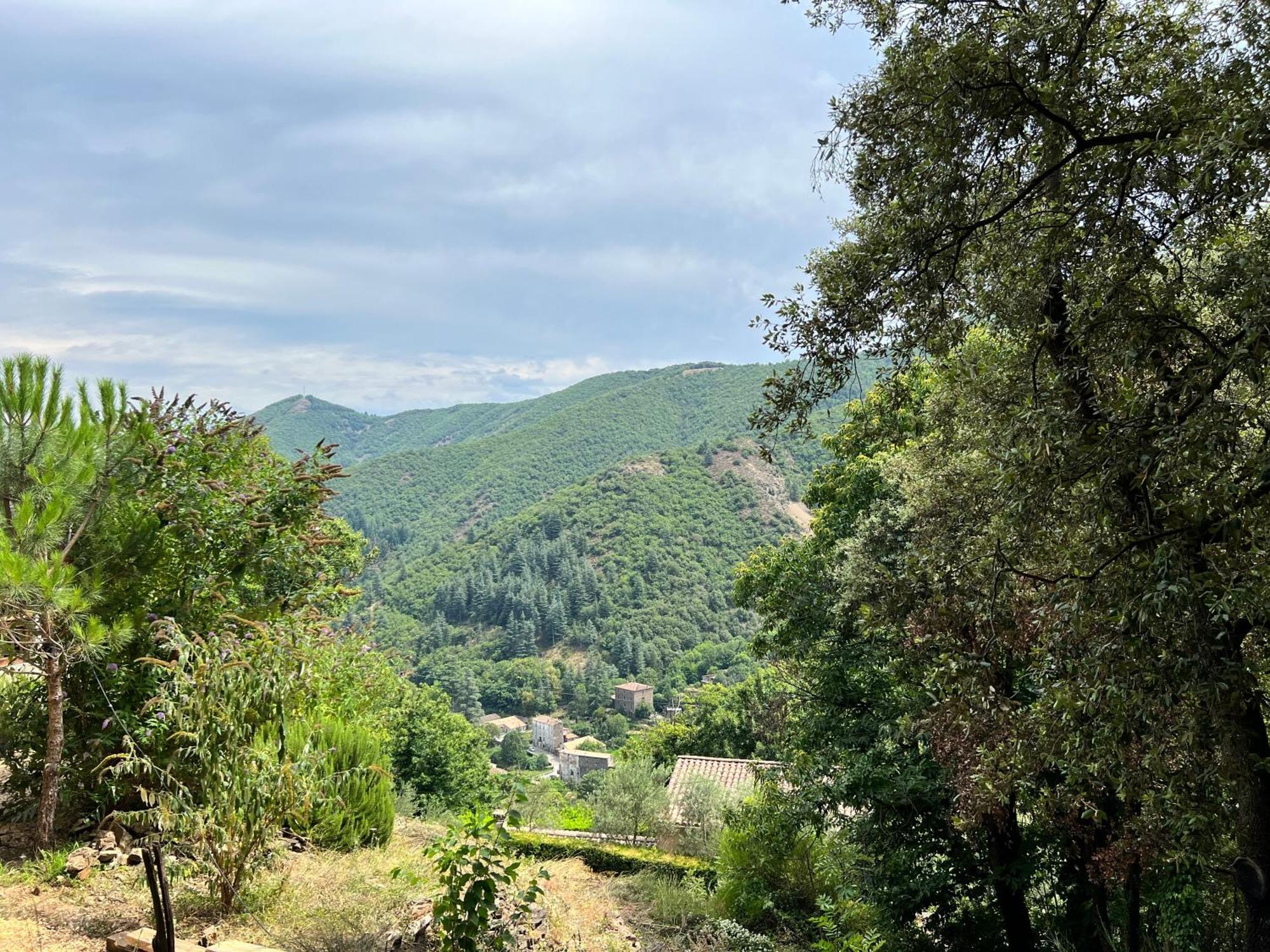 Les Magnels Bed & Breakfast Valleraugue Dış mekan fotoğraf