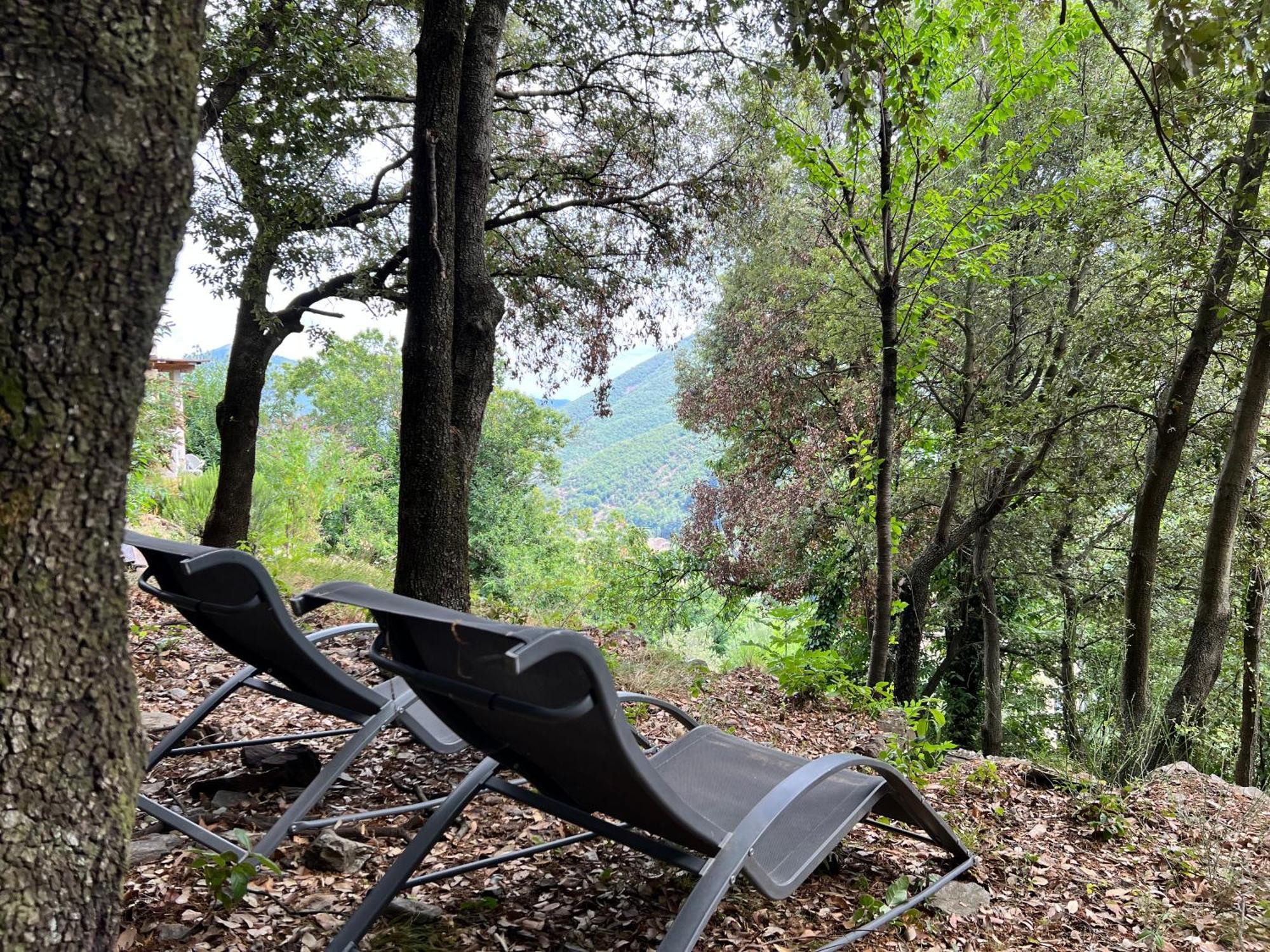 Les Magnels Bed & Breakfast Valleraugue Dış mekan fotoğraf