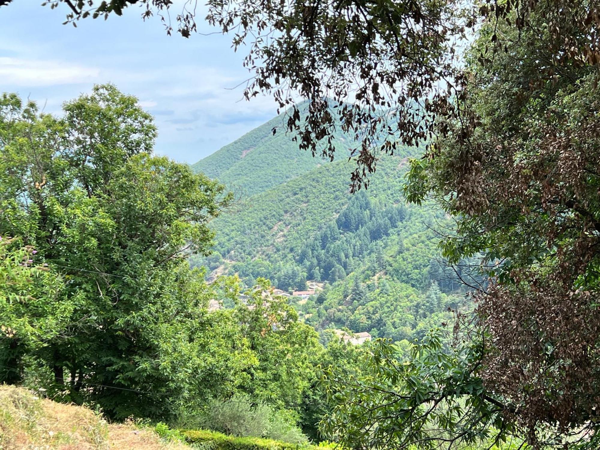 Les Magnels Bed & Breakfast Valleraugue Dış mekan fotoğraf