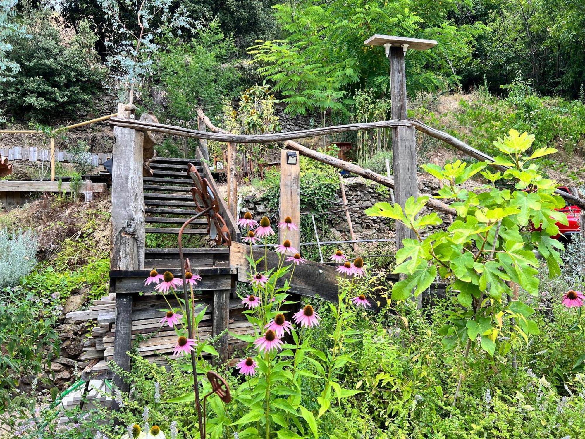 Les Magnels Bed & Breakfast Valleraugue Dış mekan fotoğraf